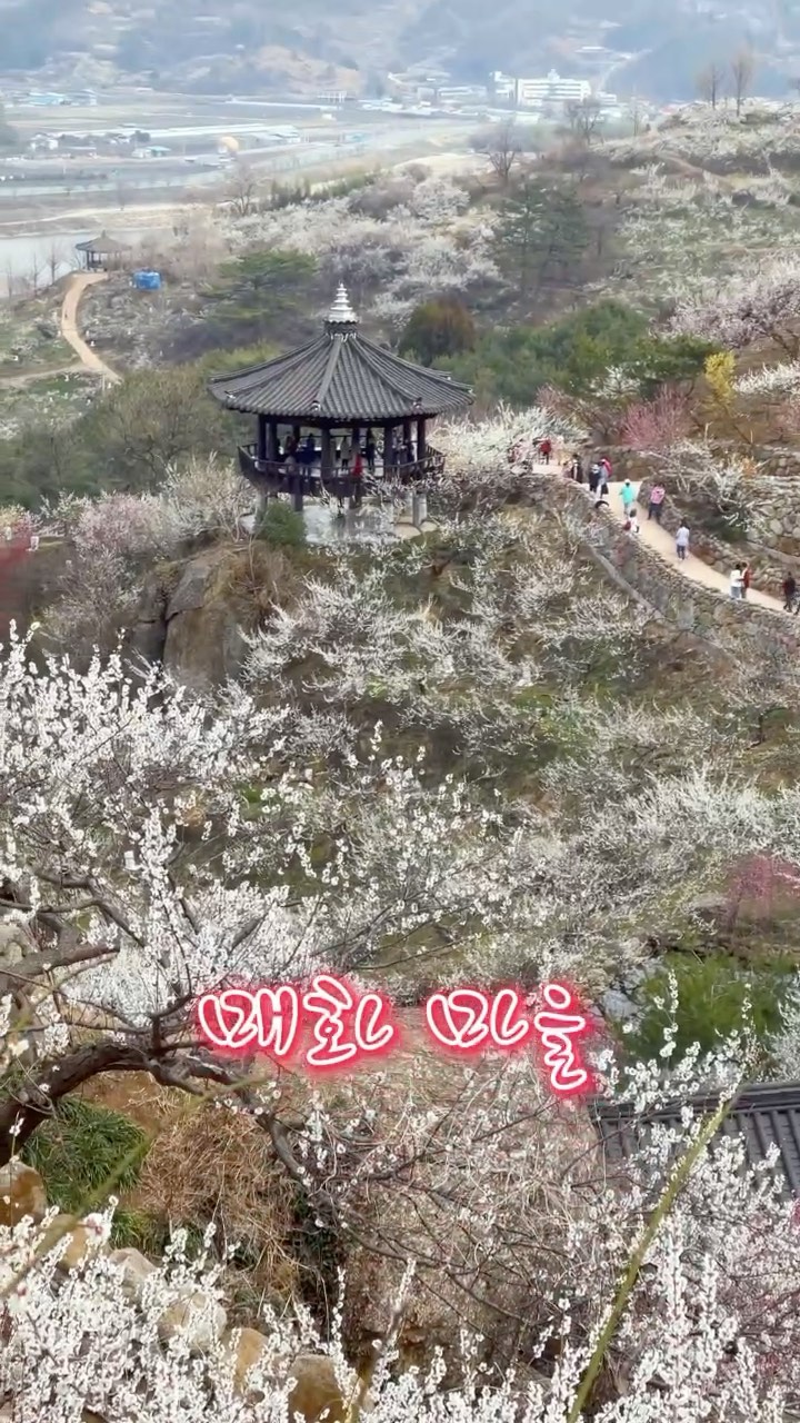 https://d2zmqyh8caa94h.cloudfront.net/creator_social_media_contents/instagram/reels/CNKDZmljtao/CNKDZmljtao.mp4