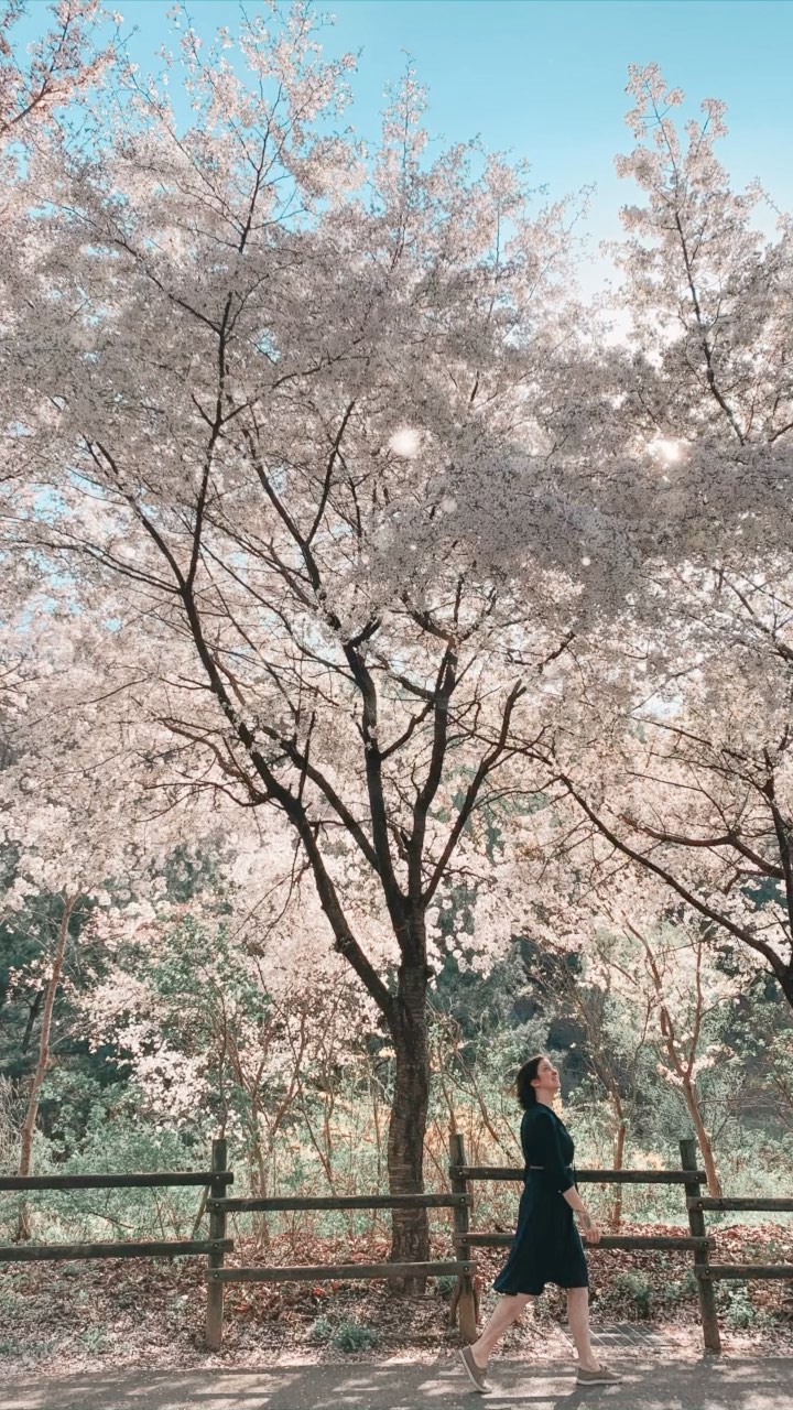 https://d2zmqyh8caa94h.cloudfront.net/creator_social_media_contents/instagram/reels/CNZqhJTgI7X/CNZqhJTgI7X.mp4
