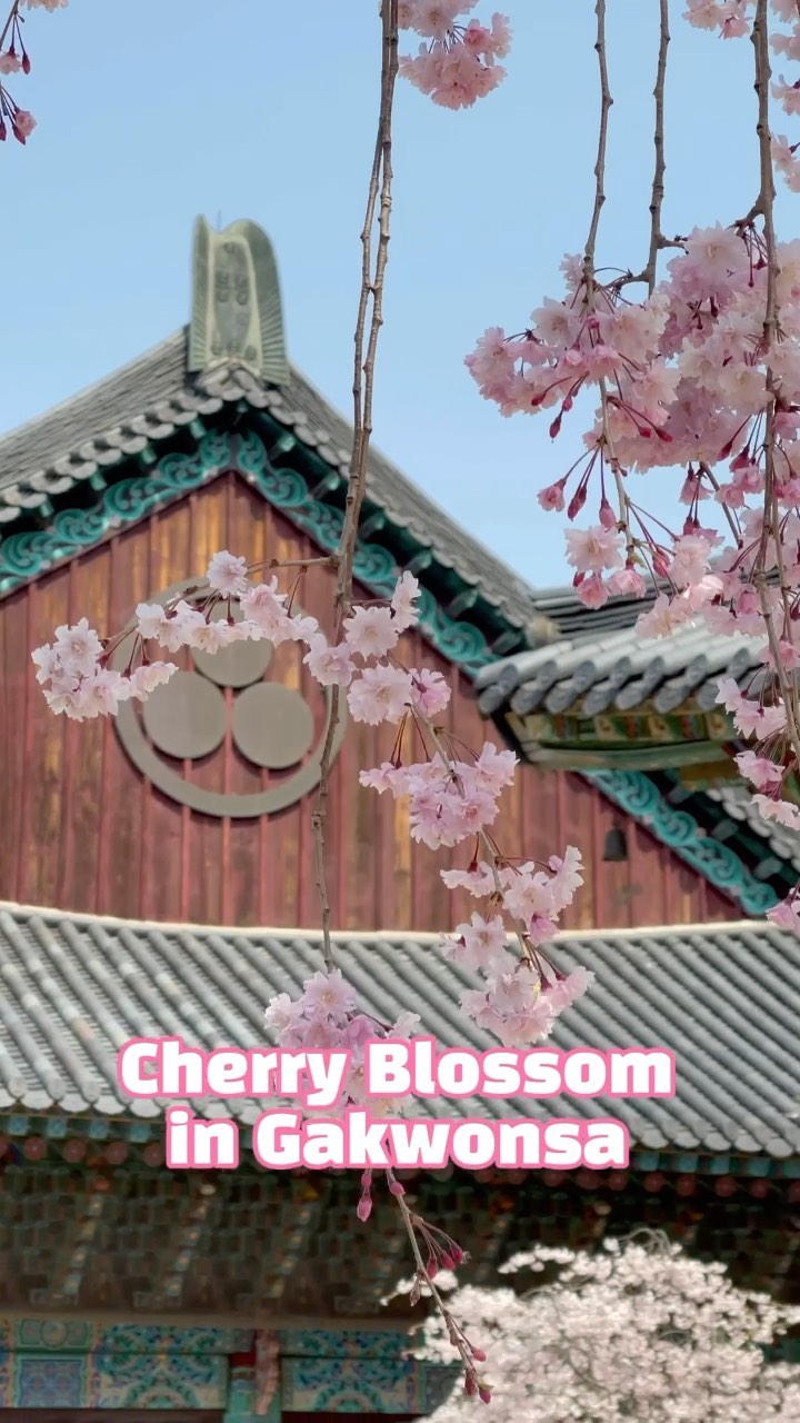 https://d2zmqyh8caa94h.cloudfront.net/creator_social_media_contents/instagram/reels/CNkbiZHjYWu/CNkbiZHjYWu.mp4