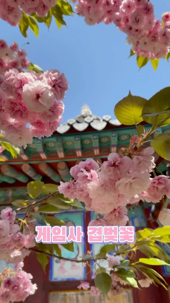 https://d2zmqyh8caa94h.cloudfront.net/creator_social_media_contents/instagram/reels/COMGmFMj-TY/COMGmFMj-TY.mp4