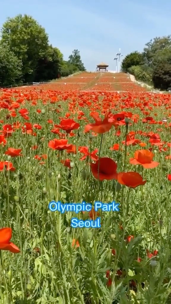 https://d2zmqyh8caa94h.cloudfront.net/creator_social_media_contents/instagram/reels/CPYVzLujeDg/CPYVzLujeDg.mp4
