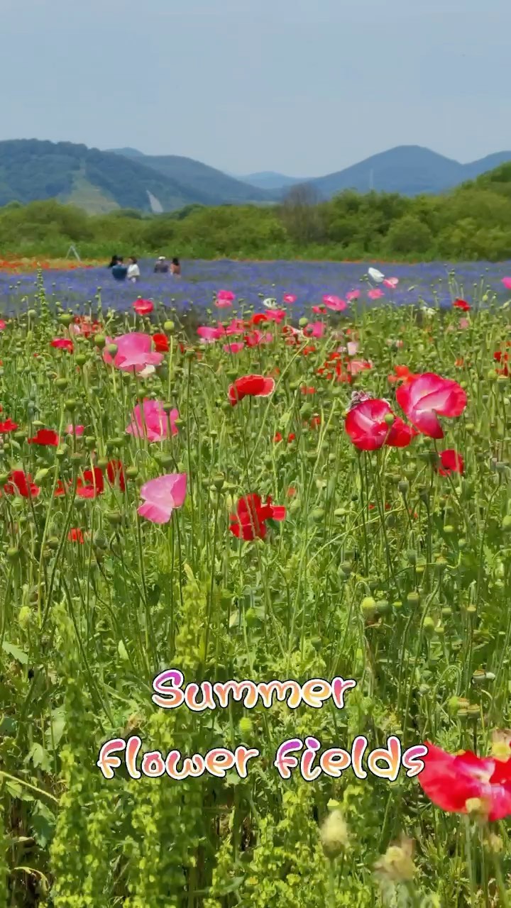 https://d2zmqyh8caa94h.cloudfront.net/creator_social_media_contents/instagram/reels/CPk_7VHDB5H/CPk_7VHDB5H.mp4