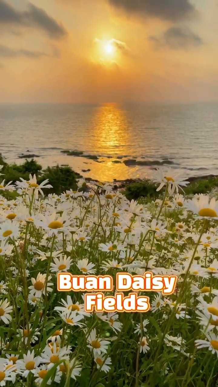 https://d2zmqyh8caa94h.cloudfront.net/creator_social_media_contents/instagram/reels/CQBmSm8jquD/CQBmSm8jquD.mp4