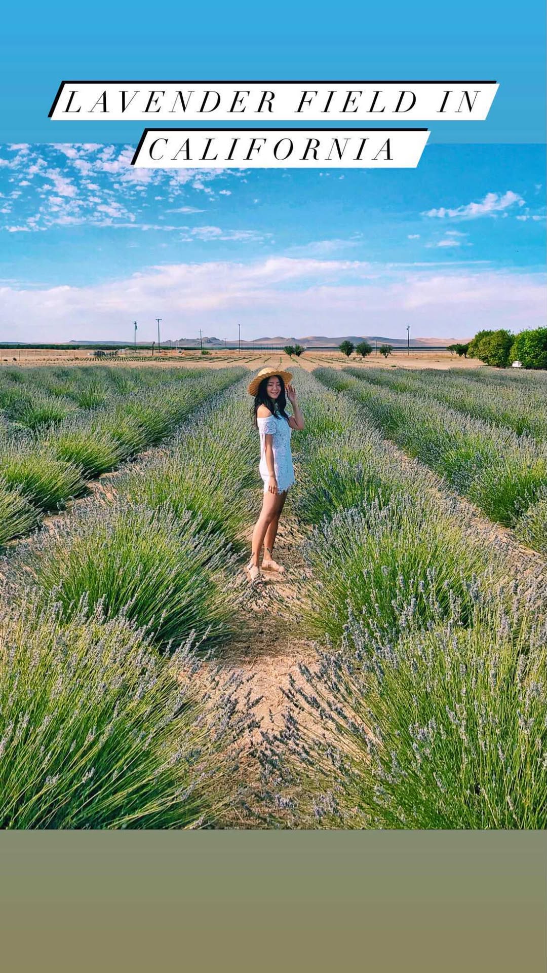 https://d2zmqyh8caa94h.cloudfront.net/creator_social_media_contents/instagram/reels/CRCX15Vl46H/CRCX15Vl46H.mp4