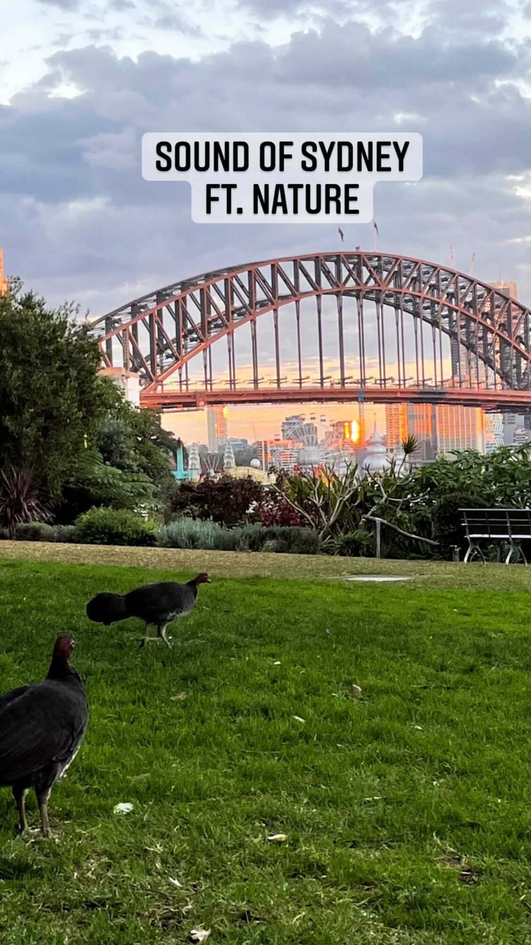 https://d2zmqyh8caa94h.cloudfront.net/creator_social_media_contents/instagram/reels/CTg8UjhBI4P/CTg8UjhBI4P.mp4