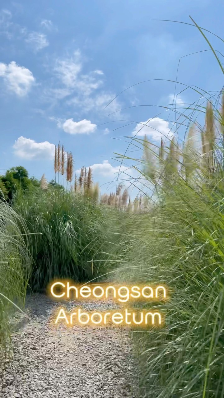 https://d2zmqyh8caa94h.cloudfront.net/creator_social_media_contents/instagram/reels/CUaRTWdpNsb/CUaRTWdpNsb.mp4