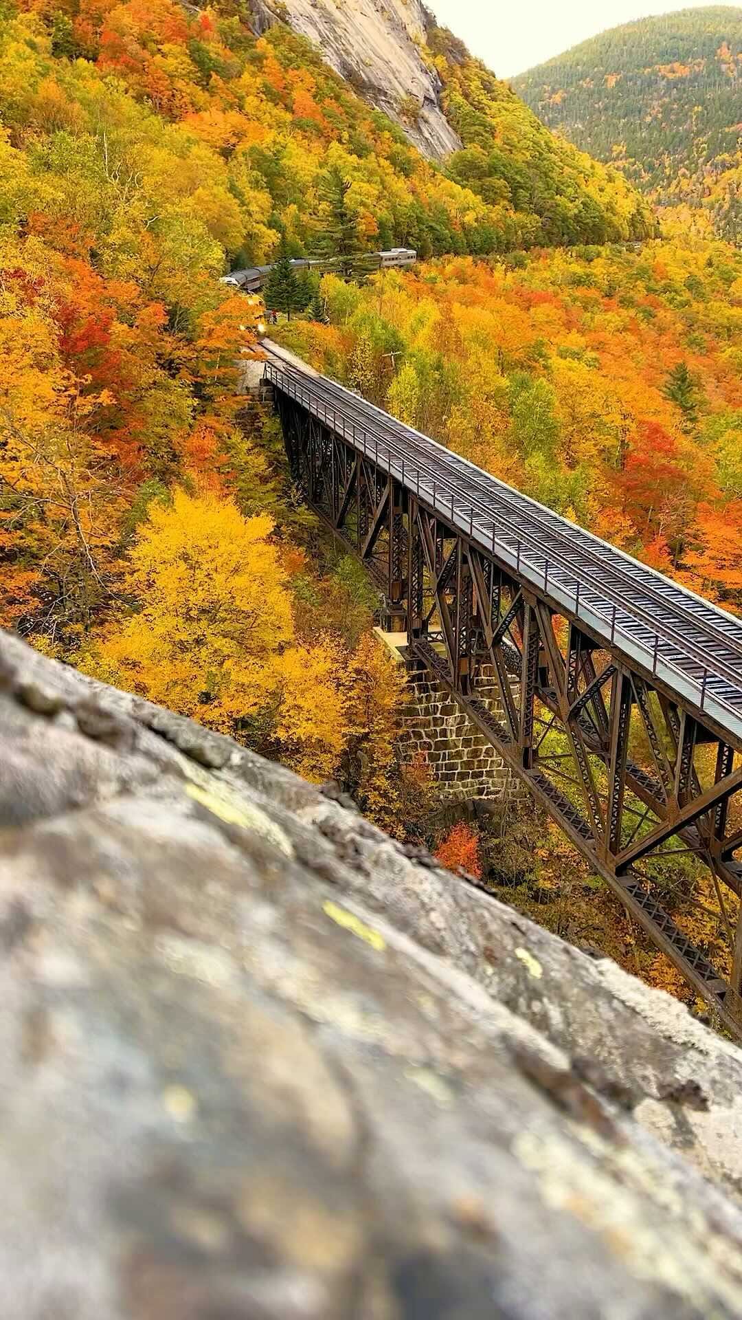 https://d2zmqyh8caa94h.cloudfront.net/creator_social_media_contents/instagram/reels/CVeSXimIYiM/CVeSXimIYiM.mp4