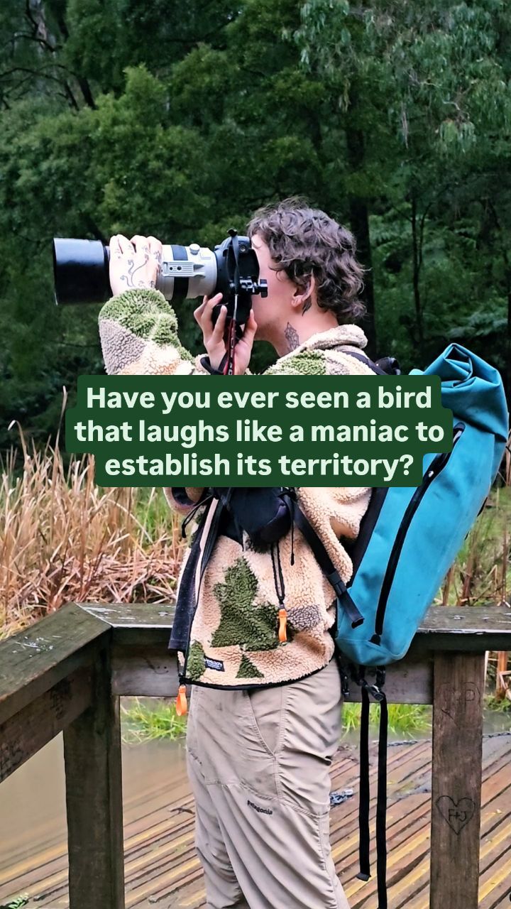 https://d2zmqyh8caa94h.cloudfront.net/creator_social_media_contents/instagram/reels/C_Wrq2RyrHp/C_Wrq2RyrHp.mp4