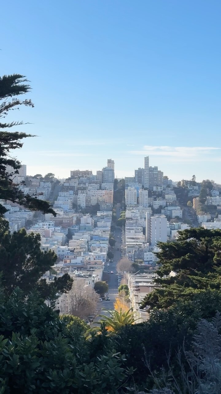 San Francisco and Marin Favorites for Day Trips