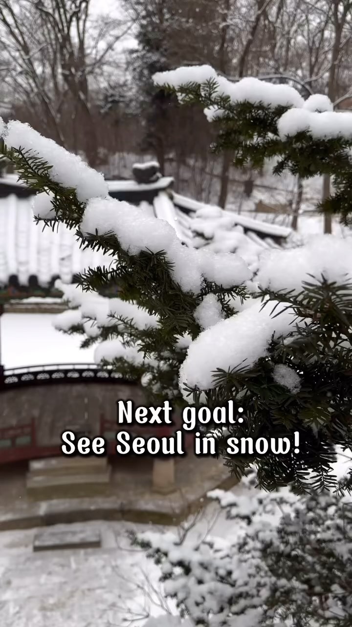 https://d2zmqyh8caa94h.cloudfront.net/creator_social_media_contents/instagram/reels/C_k732Psr3G/C_k732Psr3G.mp4