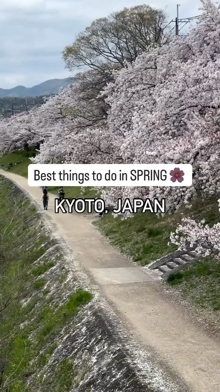 https://d2zmqyh8caa94h.cloudfront.net/creator_social_media_contents/instagram/reels/C_pGolOvGi0/C_pGolOvGi0.mp4
