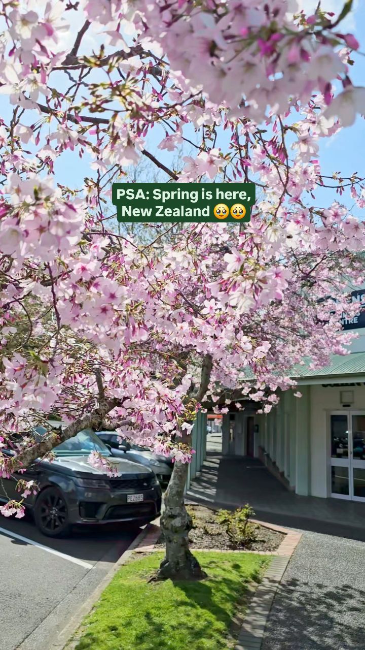 https://d2zmqyh8caa94h.cloudfront.net/creator_social_media_contents/instagram/reels/C_sLfjWShib/C_sLfjWShib.mp4