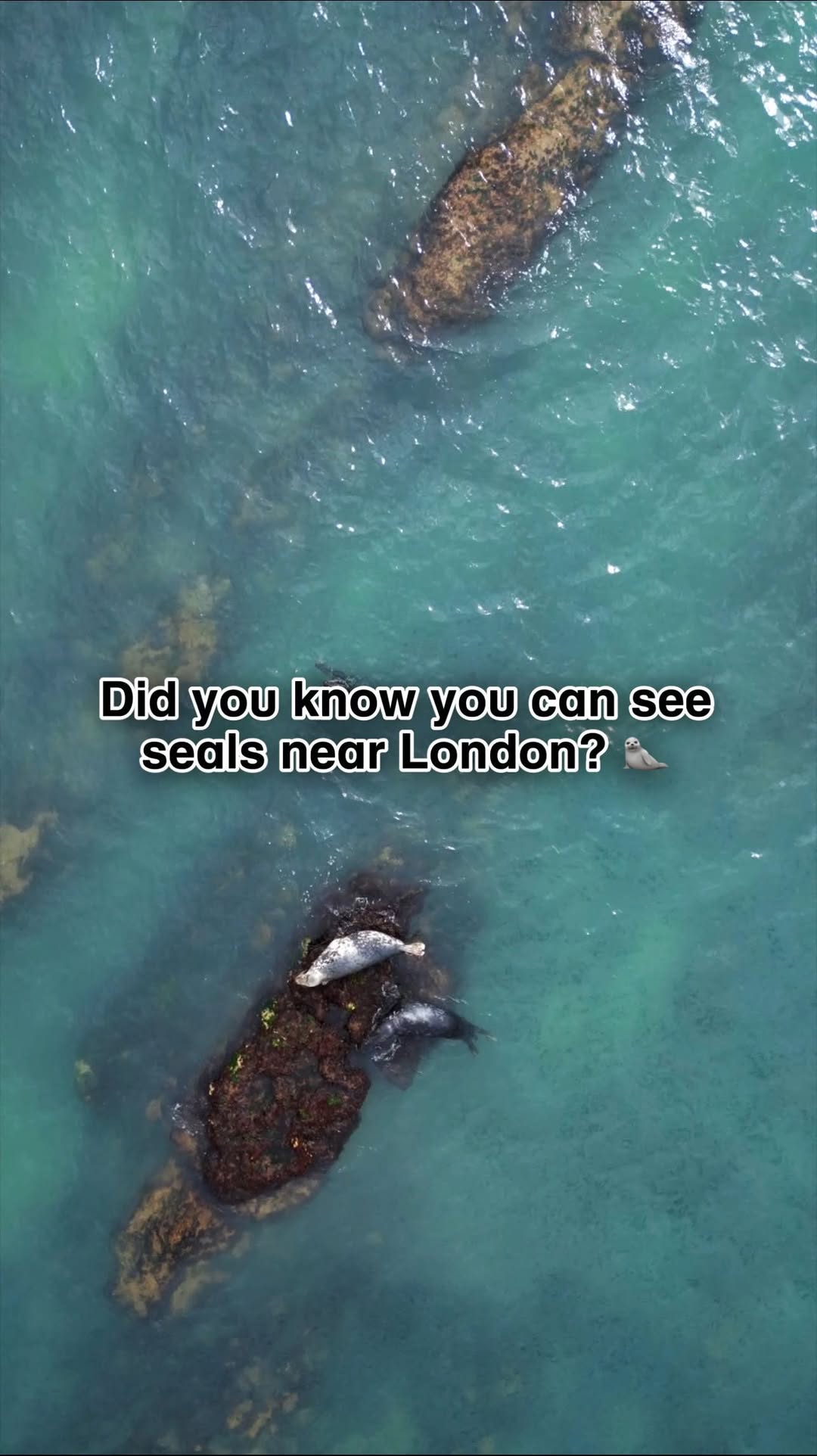 https://d2zmqyh8caa94h.cloudfront.net/creator_social_media_contents/instagram/reels/C_ybcUgoIGi/C_ybcUgoIGi.mp4