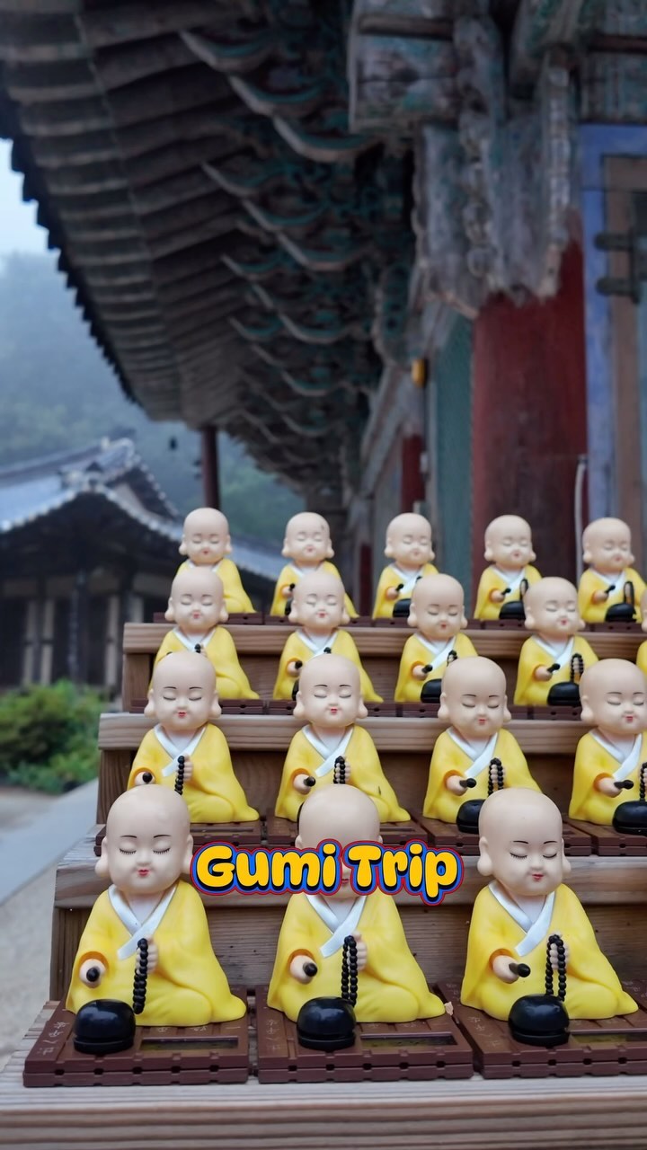 https://d2zmqyh8caa94h.cloudfront.net/creator_social_media_contents/instagram/reels/C_zuMsxtq3G/C_zuMsxtq3G.mp4