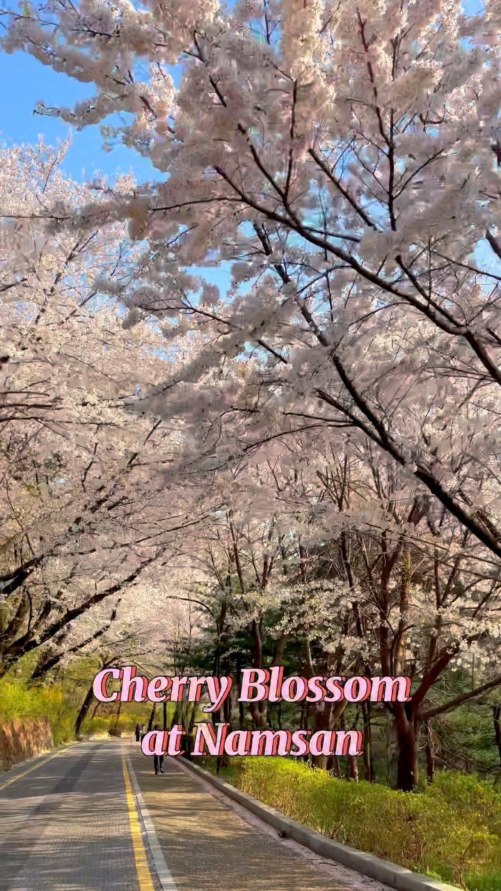 https://d2zmqyh8caa94h.cloudfront.net/creator_social_media_contents/instagram/reels/CbzQkZUpy9V/CbzQkZUpy9V.mp4