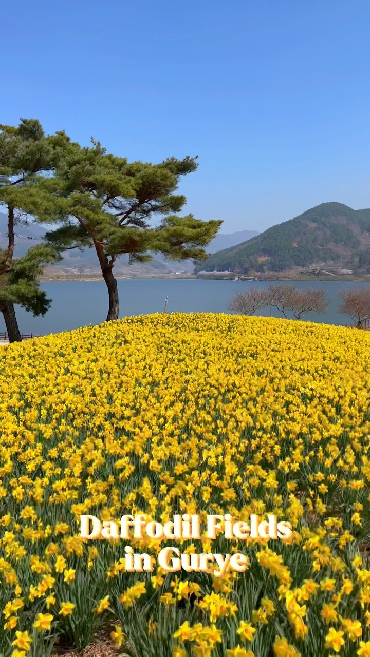 https://d2zmqyh8caa94h.cloudfront.net/creator_social_media_contents/instagram/reels/CcKR8AbN8kS/CcKR8AbN8kS.mp4