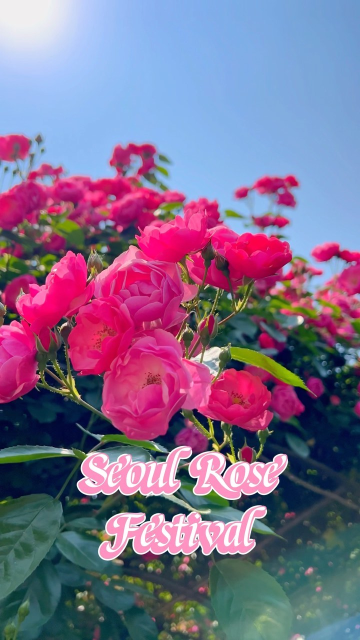 https://d2zmqyh8caa94h.cloudfront.net/creator_social_media_contents/instagram/reels/Cd6HAH2pHNp/Cd6HAH2pHNp.mp4