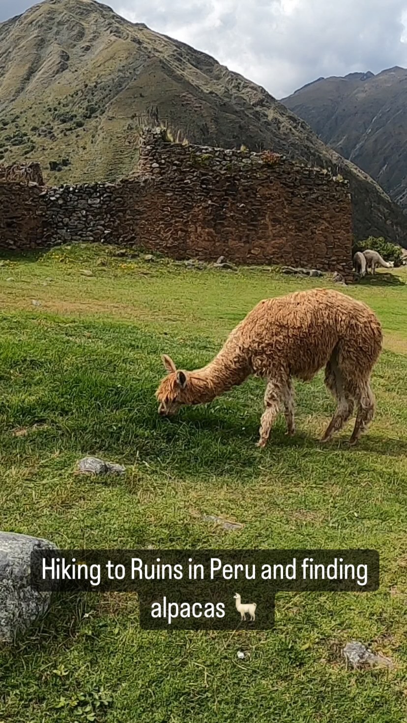 https://d2zmqyh8caa94h.cloudfront.net/creator_social_media_contents/instagram/reels/CdwwXbBFHVJ/CdwwXbBFHVJ.mp4
