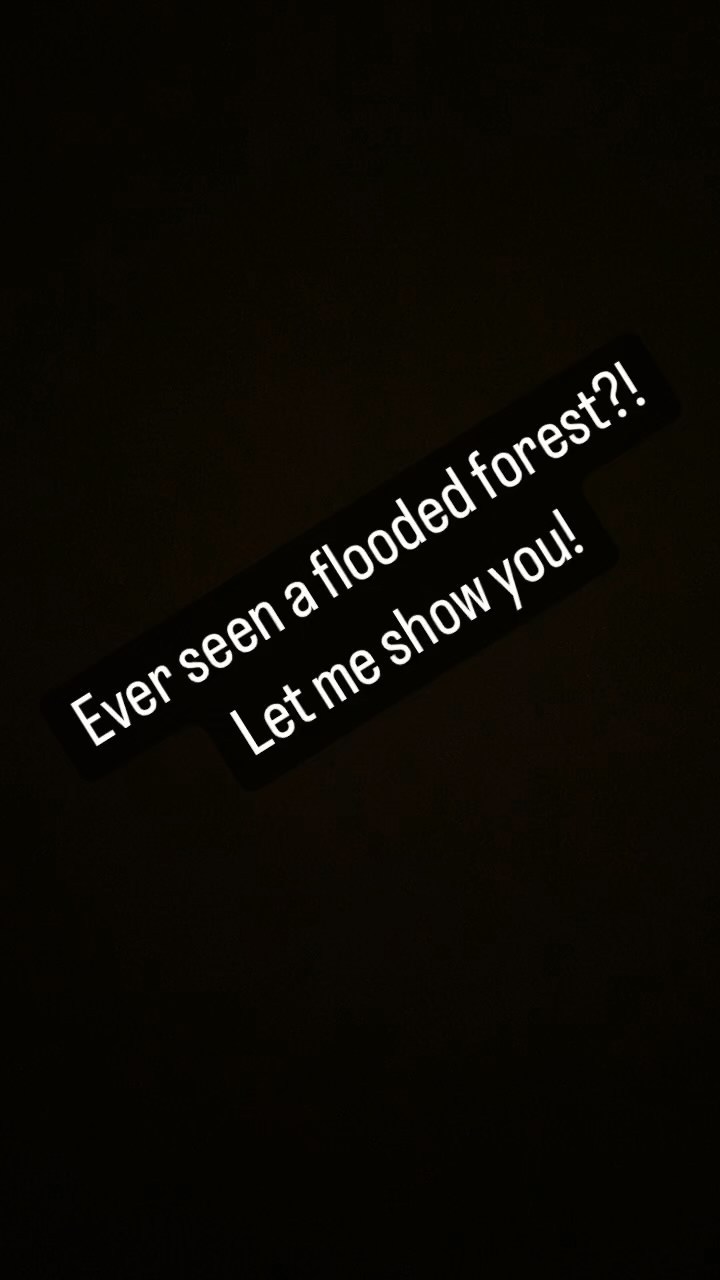 https://d2zmqyh8caa94h.cloudfront.net/creator_social_media_contents/instagram/reels/CejElicFFeG/CejElicFFeG.mp4