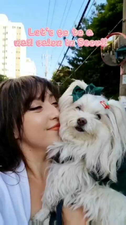 https://d2zmqyh8caa94h.cloudfront.net/creator_social_media_contents/instagram/reels/CfWgbadp6KH/CfWgbadp6KH.mp4