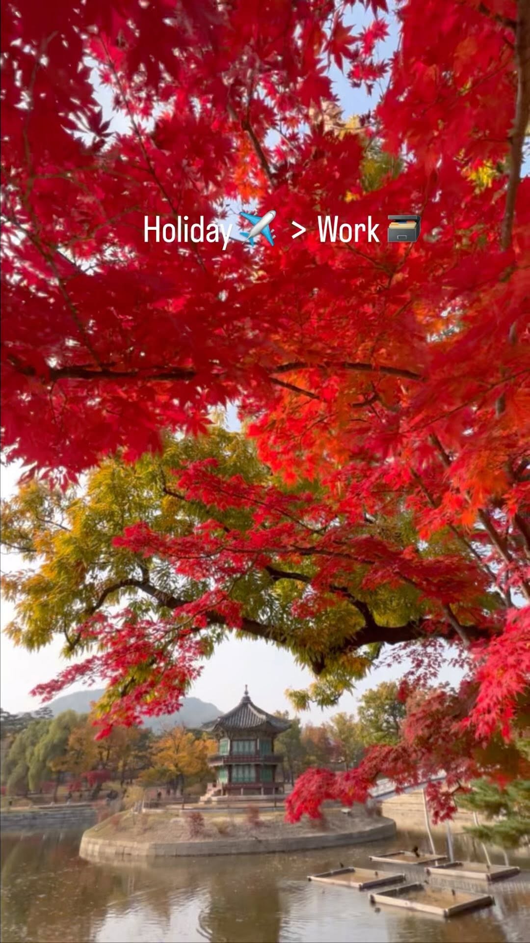 https://d2zmqyh8caa94h.cloudfront.net/creator_social_media_contents/instagram/reels/Ci1pNz5J-38/Ci1pNz5J-38.mp4