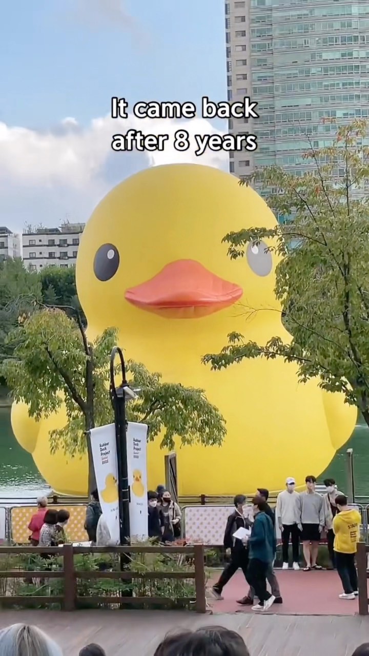 https://d2zmqyh8caa94h.cloudfront.net/creator_social_media_contents/instagram/reels/CjfouMLh4qj/CjfouMLh4qj.mp4