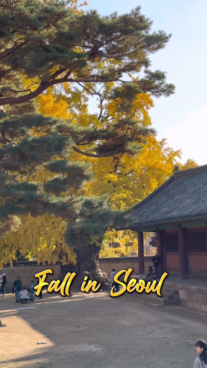 https://d2zmqyh8caa94h.cloudfront.net/creator_social_media_contents/instagram/reels/CkpxXnHJE_M/CkpxXnHJE_M.mp4