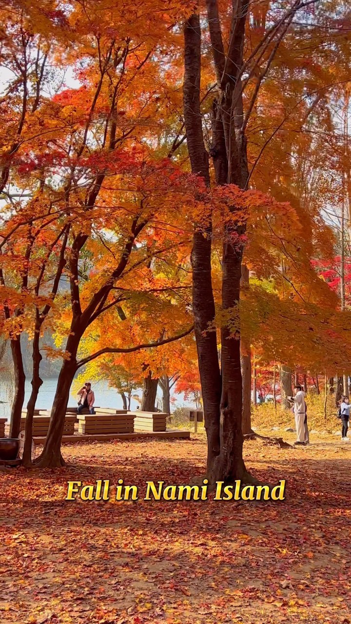 https://d2zmqyh8caa94h.cloudfront.net/creator_social_media_contents/instagram/reels/ClBQAycpQeL/ClBQAycpQeL.mp4