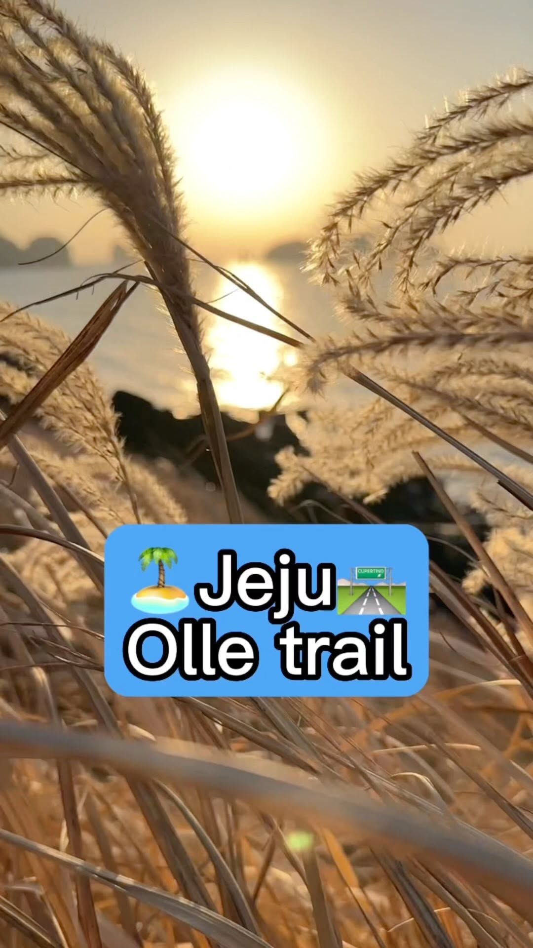 https://d2zmqyh8caa94h.cloudfront.net/creator_social_media_contents/instagram/reels/CleCp5_JVTq/CleCp5_JVTq.mp4