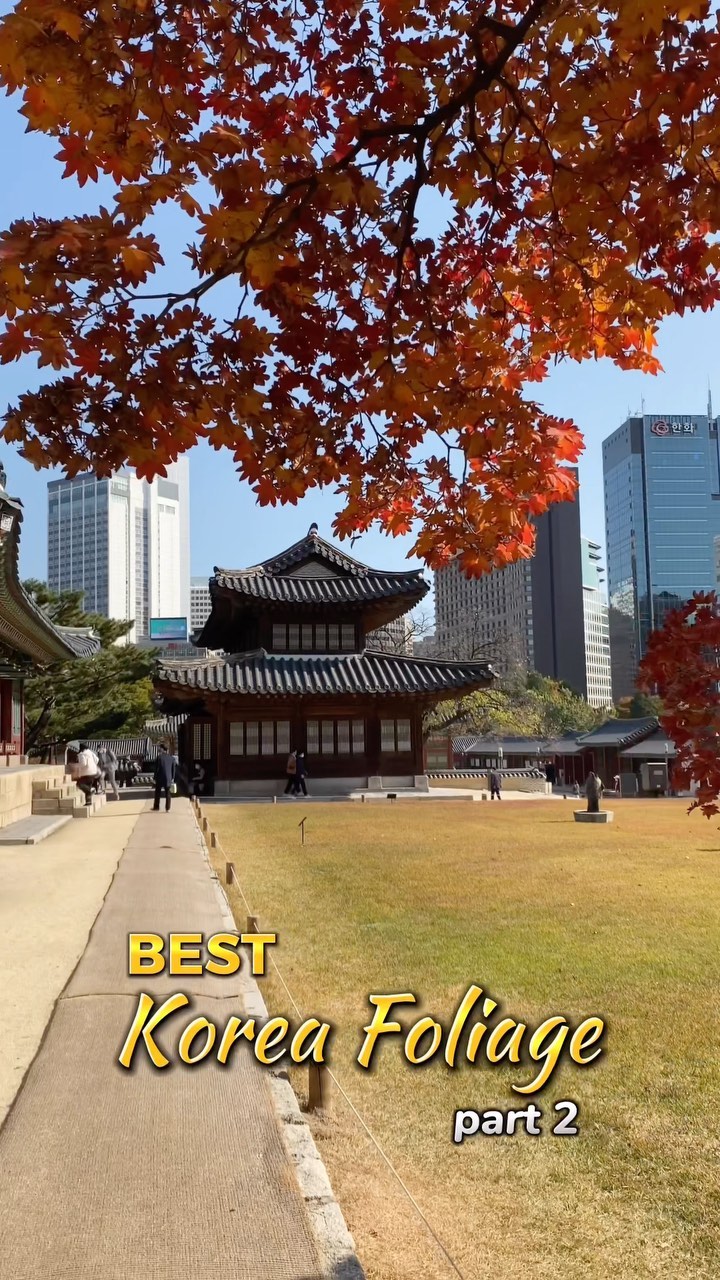 https://d2zmqyh8caa94h.cloudfront.net/creator_social_media_contents/instagram/reels/CmHO5wBpax2/CmHO5wBpax2.mp4