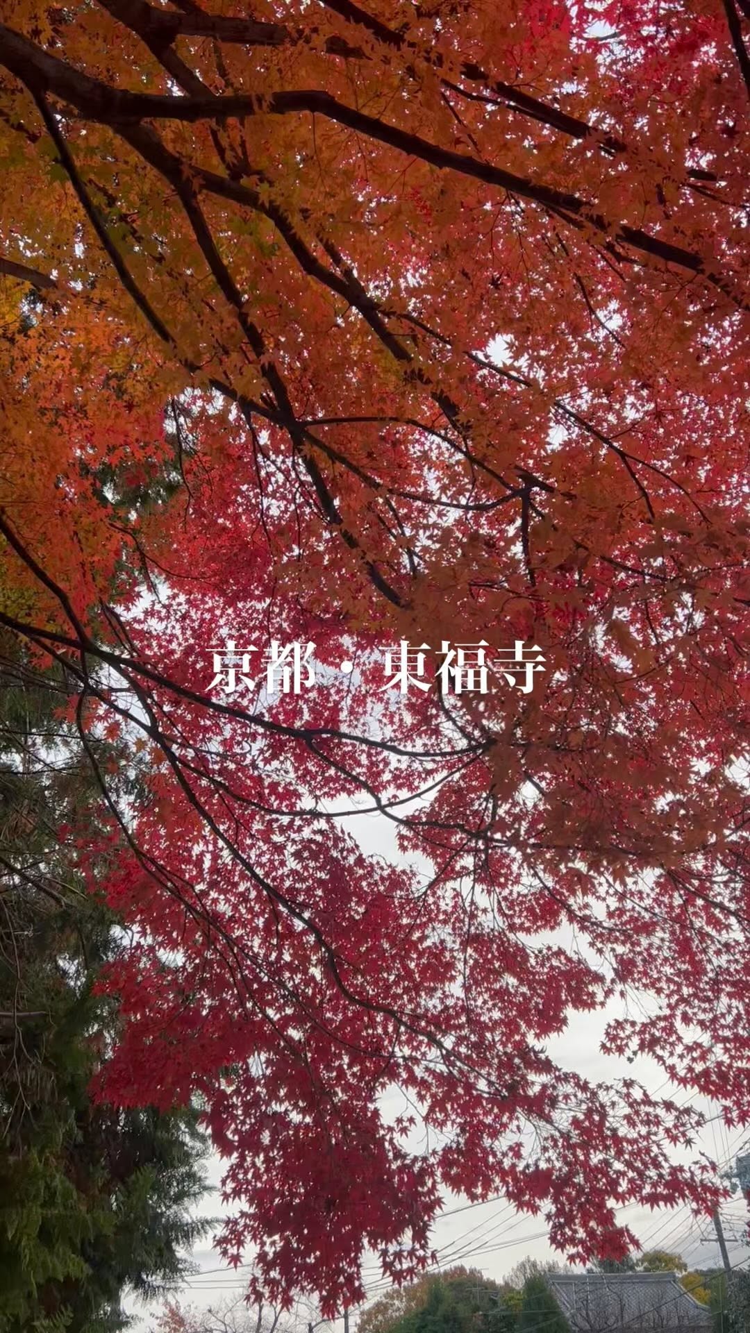 https://d2zmqyh8caa94h.cloudfront.net/creator_social_media_contents/instagram/reels/CmQIjnIAq9L/CmQIjnIAq9L.mp4