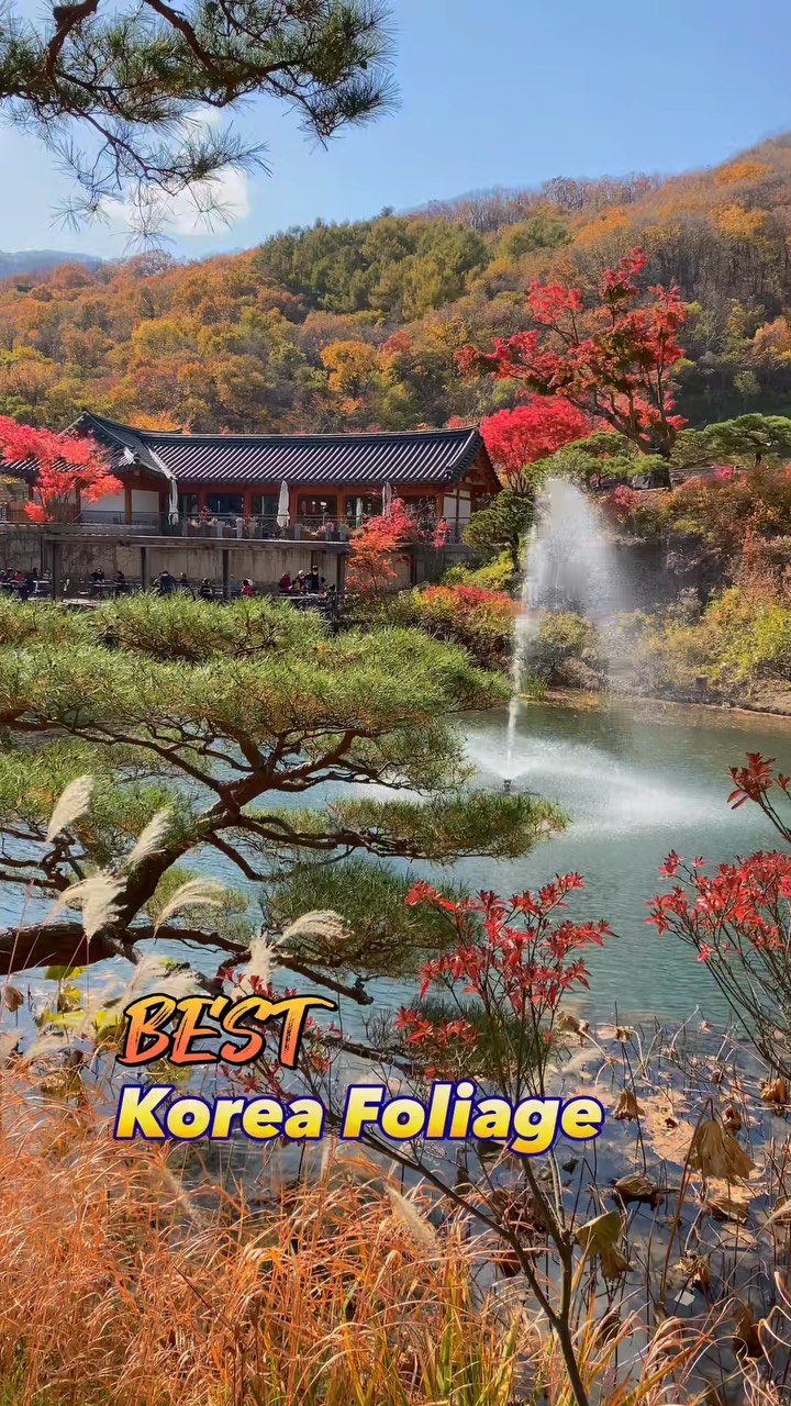 https://d2zmqyh8caa94h.cloudfront.net/creator_social_media_contents/instagram/reels/CmYKe1ApqOr/CmYKe1ApqOr.mp4