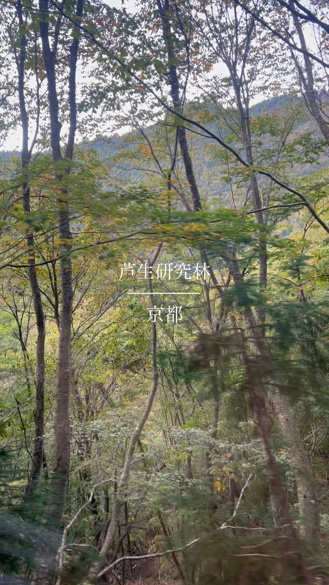 https://d2zmqyh8caa94h.cloudfront.net/creator_social_media_contents/instagram/reels/CmbiLdBhwqH/CmbiLdBhwqH.mp4