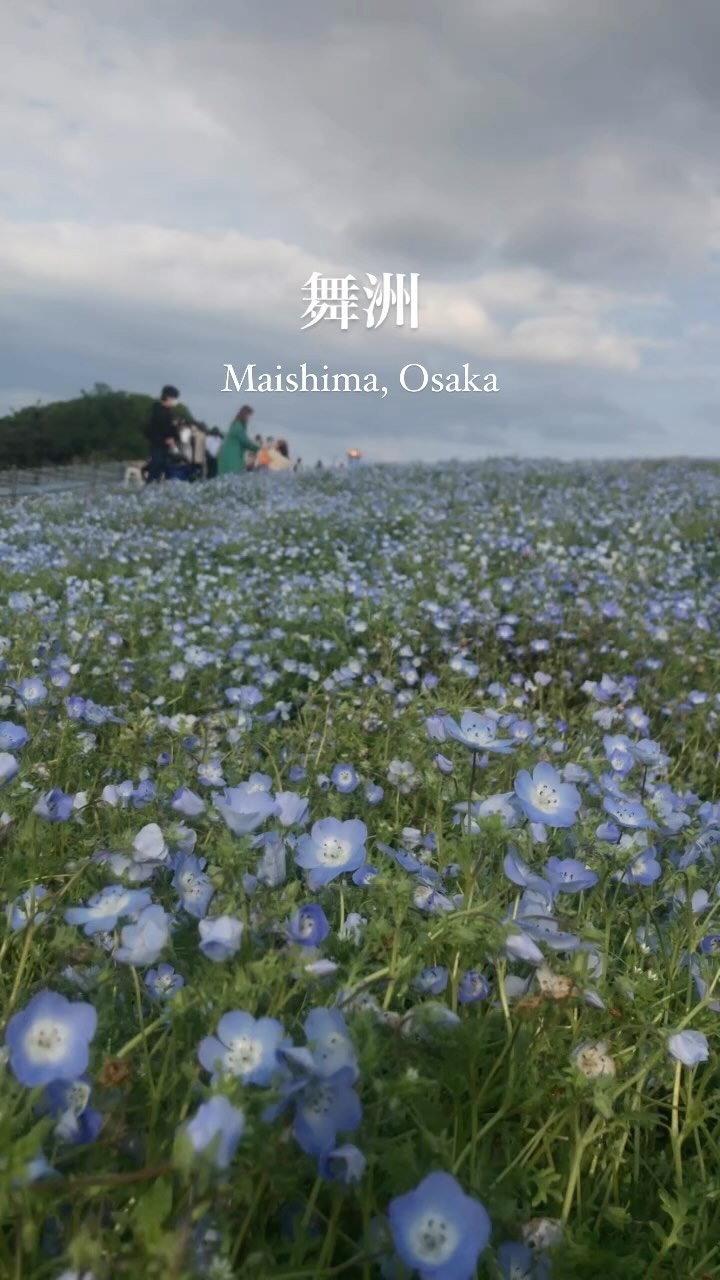 https://d2zmqyh8caa94h.cloudfront.net/creator_social_media_contents/instagram/reels/Cmv8lhmBwph/Cmv8lhmBwph.mp4