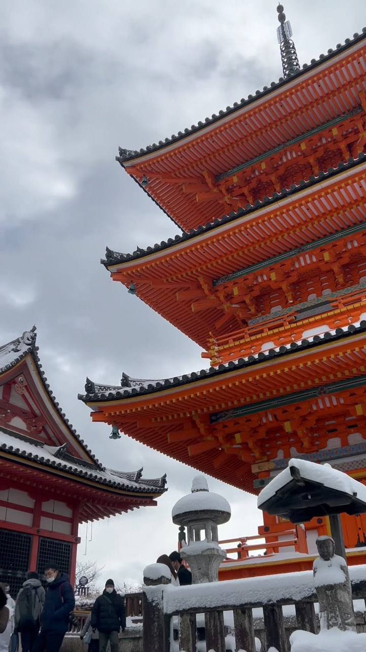 https://d2zmqyh8caa94h.cloudfront.net/creator_social_media_contents/instagram/reels/Cn37fIgAWiV/Cn37fIgAWiV.mp4