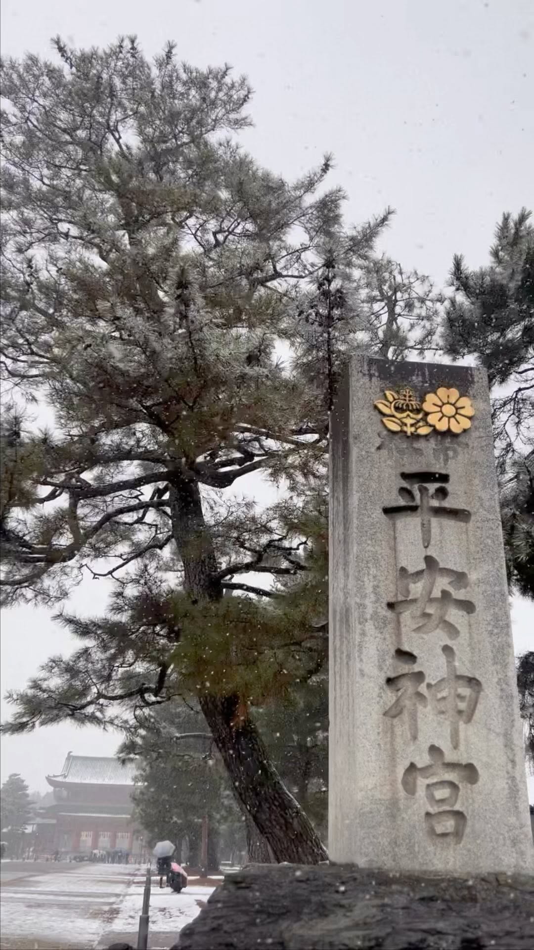 https://d2zmqyh8caa94h.cloudfront.net/creator_social_media_contents/instagram/reels/Cn6OmeSASOj/Cn6OmeSASOj.mp4