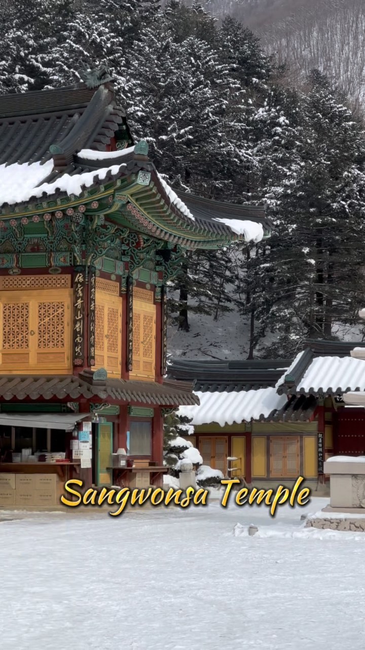 https://d2zmqyh8caa94h.cloudfront.net/creator_social_media_contents/instagram/reels/Cny8w5EONte/Cny8w5EONte.mp4