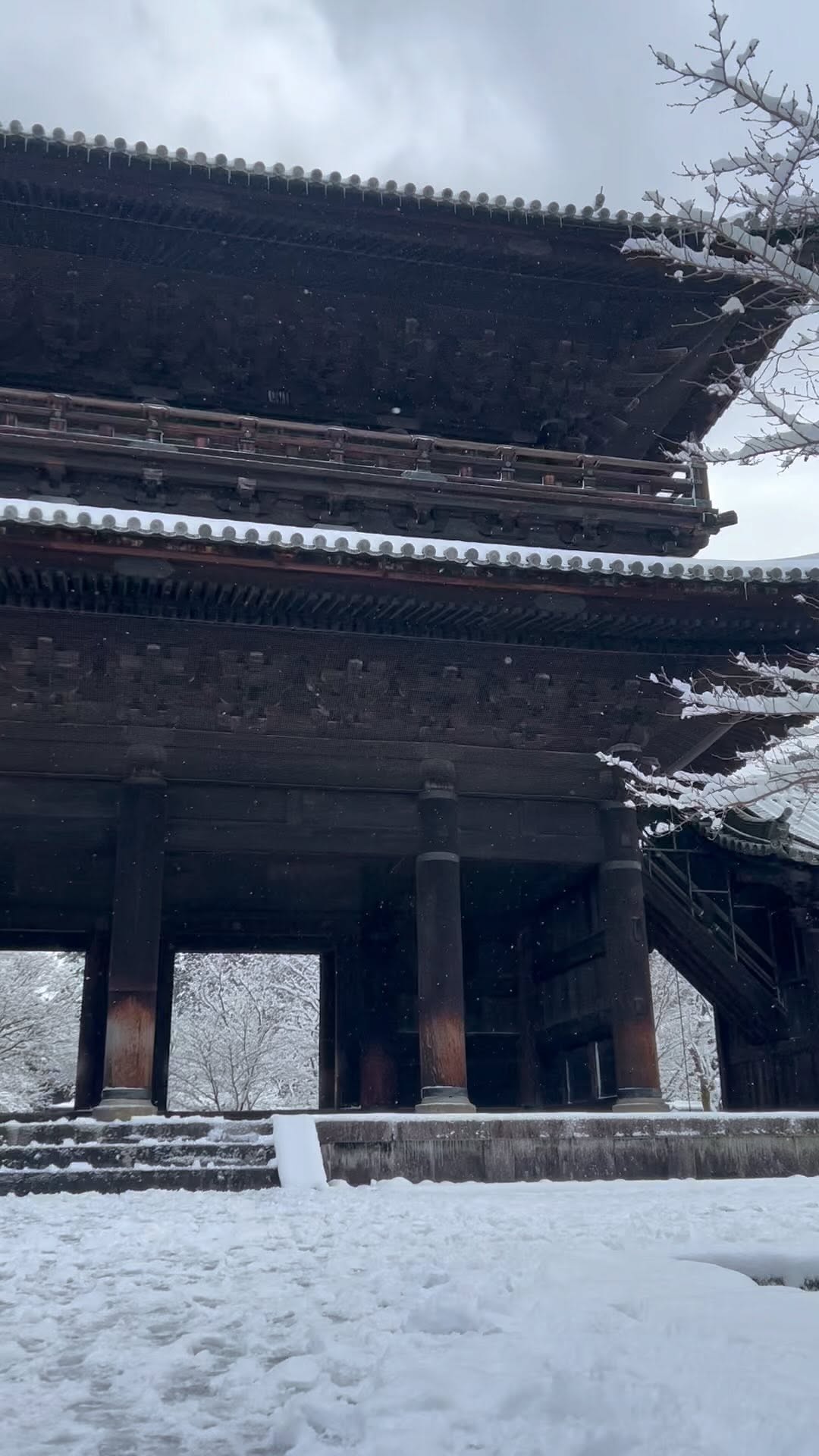 https://d2zmqyh8caa94h.cloudfront.net/creator_social_media_contents/instagram/reels/CoHdwKnAqoG/CoHdwKnAqoG.mp4