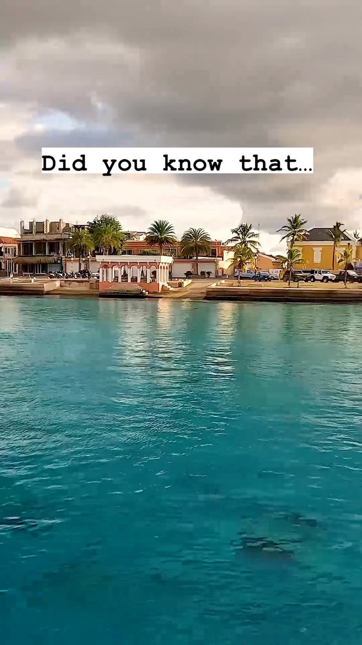 https://d2zmqyh8caa94h.cloudfront.net/creator_social_media_contents/instagram/reels/CoId0BOIZHF/CoId0BOIZHF.mp4