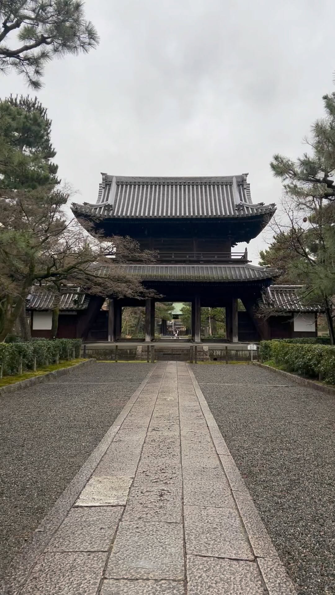 https://d2zmqyh8caa94h.cloudfront.net/creator_social_media_contents/instagram/reels/CoevzmbAEjA/CoevzmbAEjA.mp4