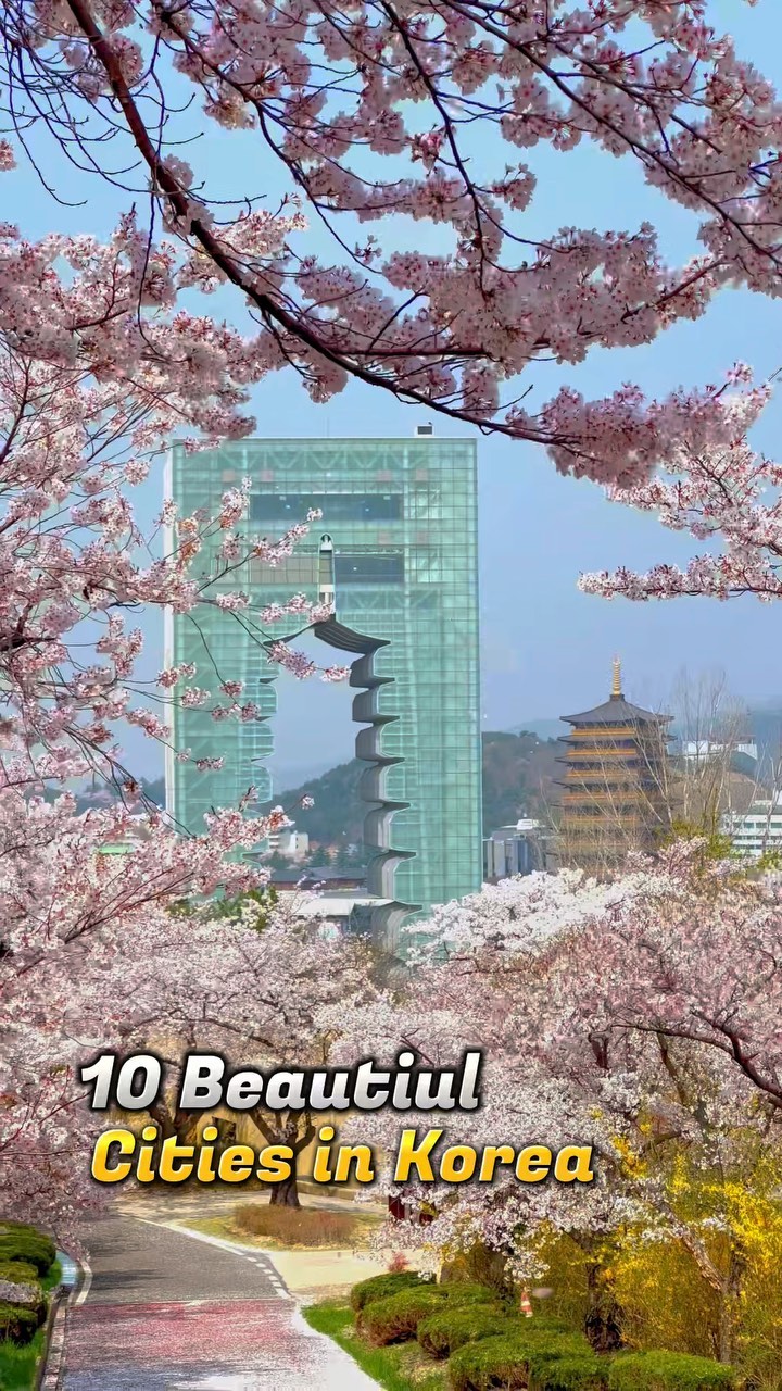 https://d2zmqyh8caa94h.cloudfront.net/creator_social_media_contents/instagram/reels/Col8xk-JMhy/Col8xk-JMhy.mp4