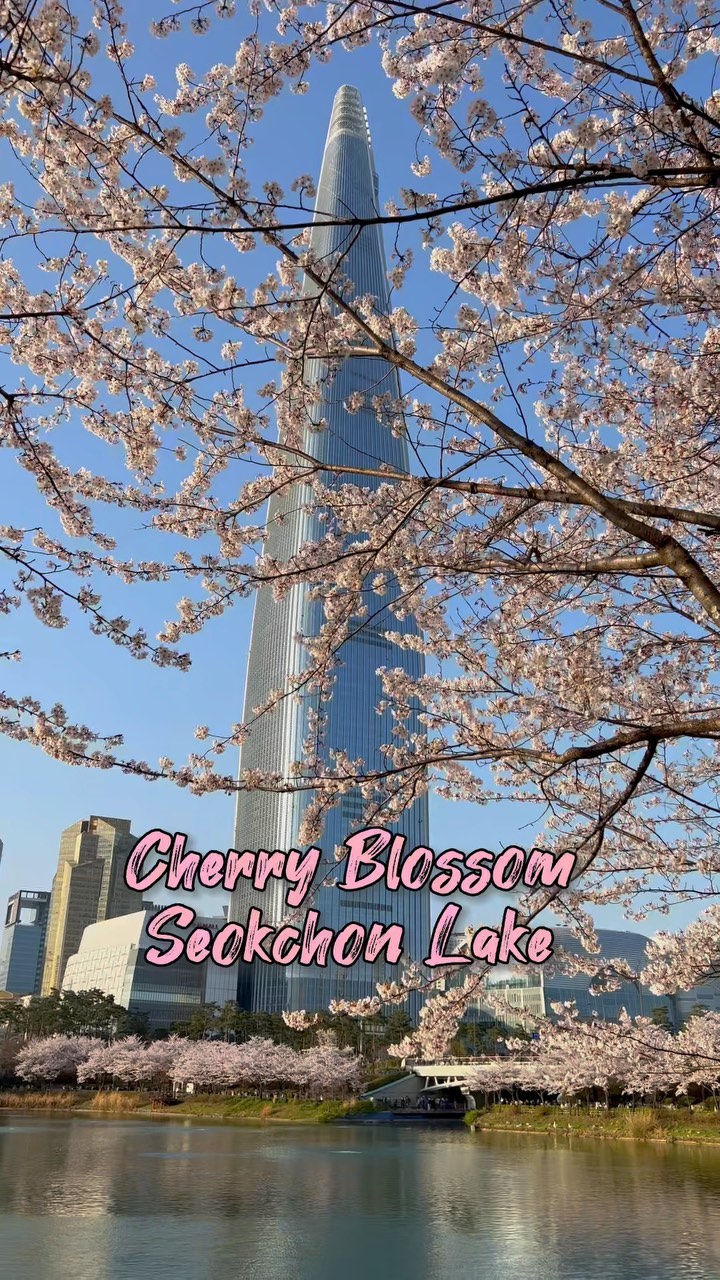 https://d2zmqyh8caa94h.cloudfront.net/creator_social_media_contents/instagram/reels/CrCqI9IpZR9/CrCqI9IpZR9.mp4