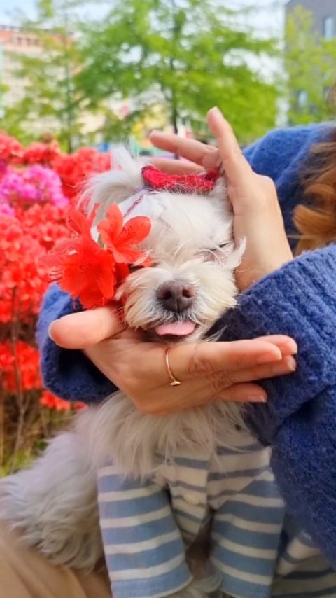 https://d2zmqyh8caa94h.cloudfront.net/creator_social_media_contents/instagram/reels/CrbBtHALext/CrbBtHALext.mp4