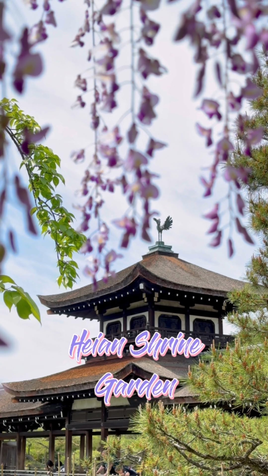 https://d2zmqyh8caa94h.cloudfront.net/creator_social_media_contents/instagram/reels/CslZgKdsdiw/CslZgKdsdiw.mp4
