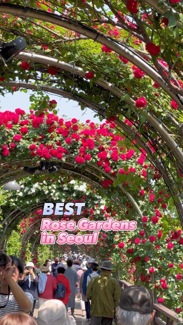 https://d2zmqyh8caa94h.cloudfront.net/creator_social_media_contents/instagram/reels/CsyTPARrSeo/CsyTPARrSeo.mp4