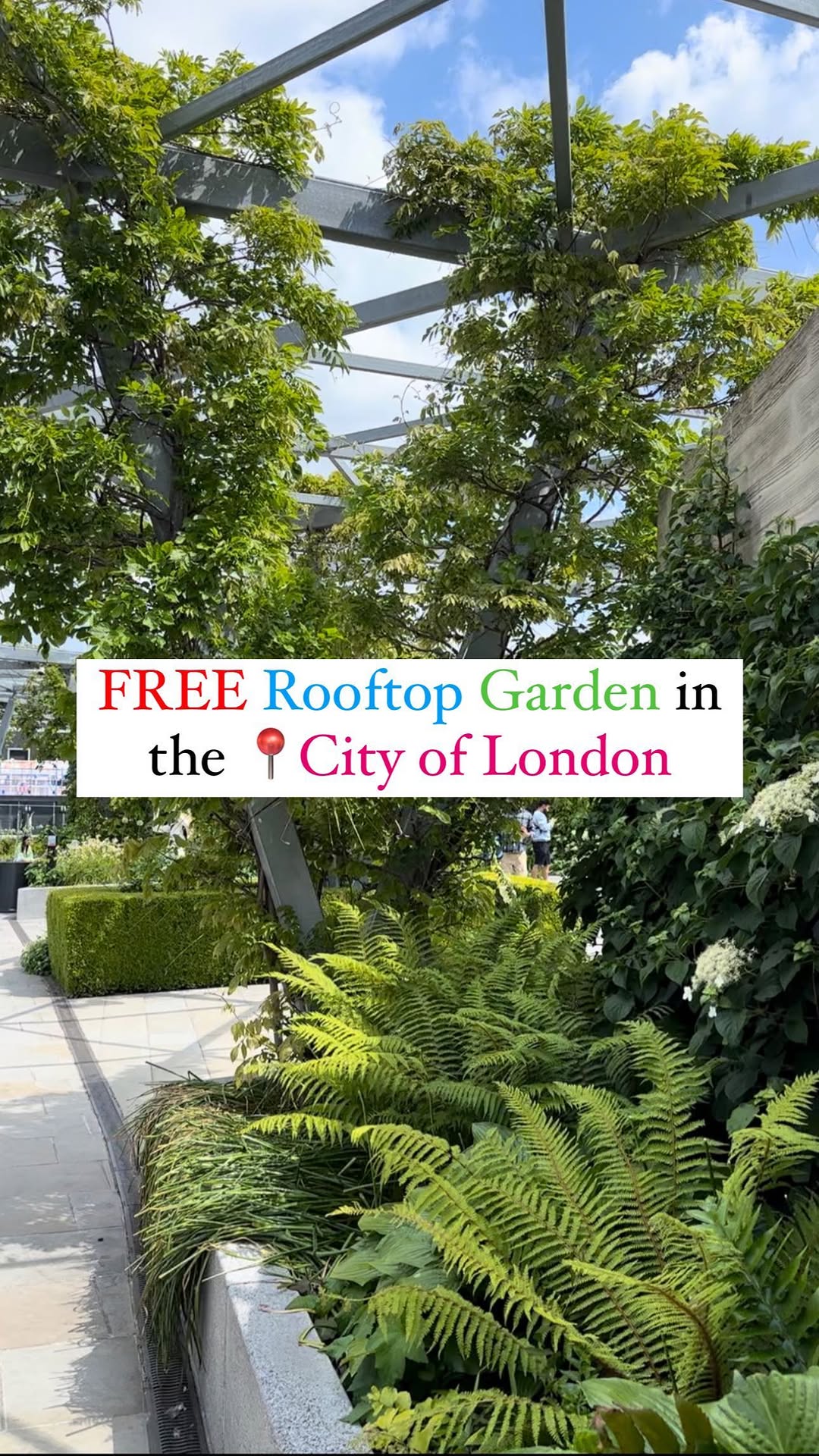https://d2zmqyh8caa94h.cloudfront.net/creator_social_media_contents/instagram/reels/CtHw6OEon9v/CtHw6OEon9v.mp4