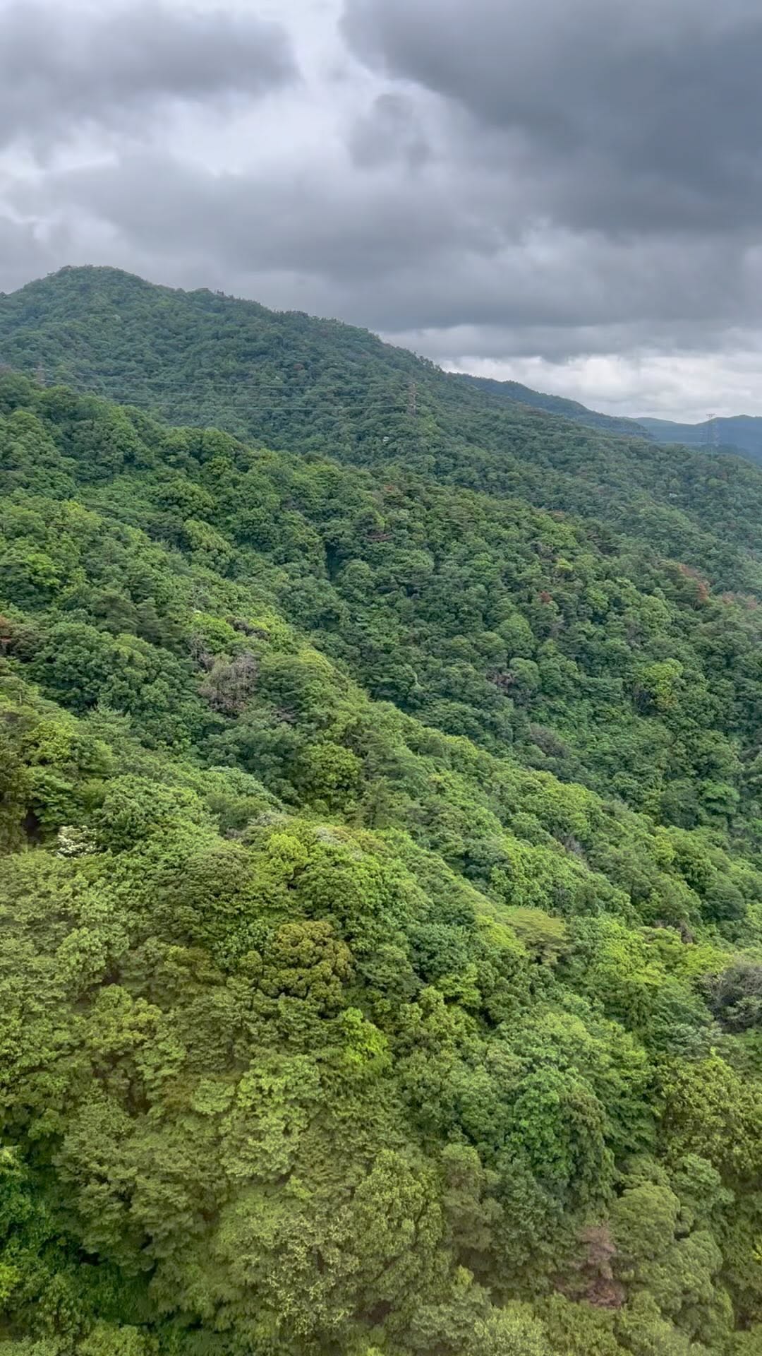 https://d2zmqyh8caa94h.cloudfront.net/creator_social_media_contents/instagram/reels/CtWfE3AgjzU/CtWfE3AgjzU.mp4