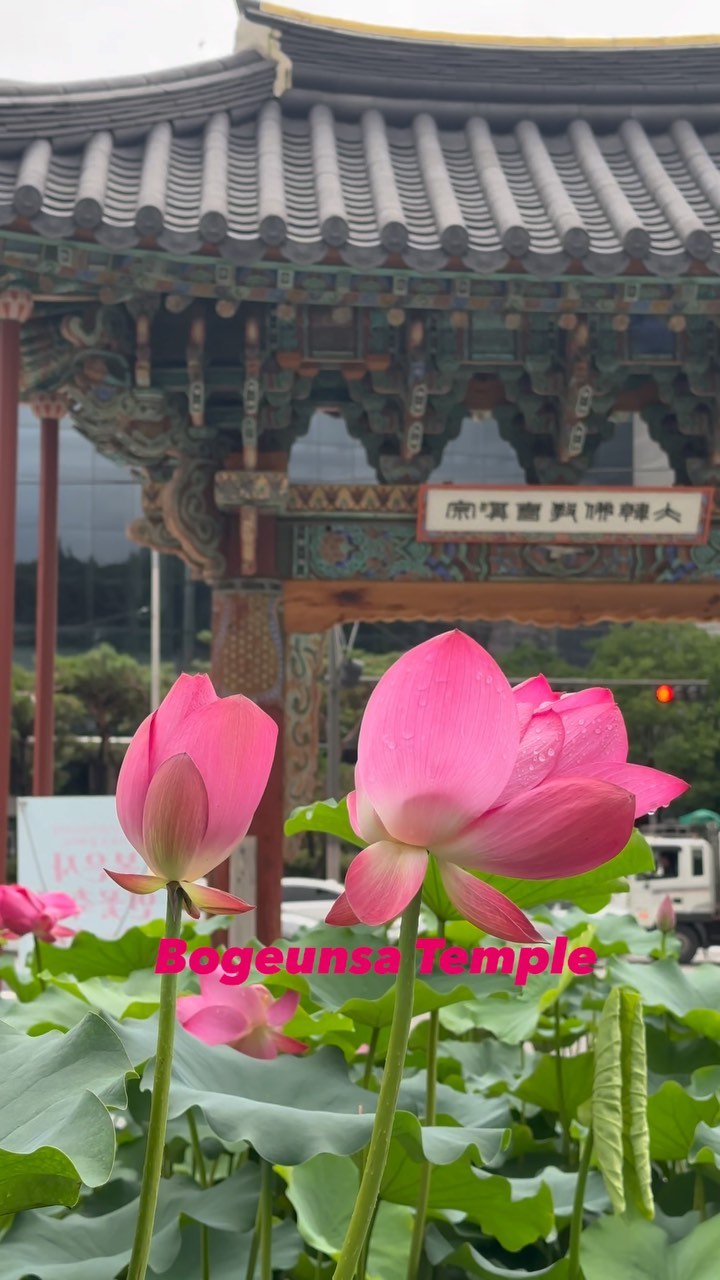 https://d2zmqyh8caa94h.cloudfront.net/creator_social_media_contents/instagram/reels/Cu4kzQAMYfr/Cu4kzQAMYfr.mp4