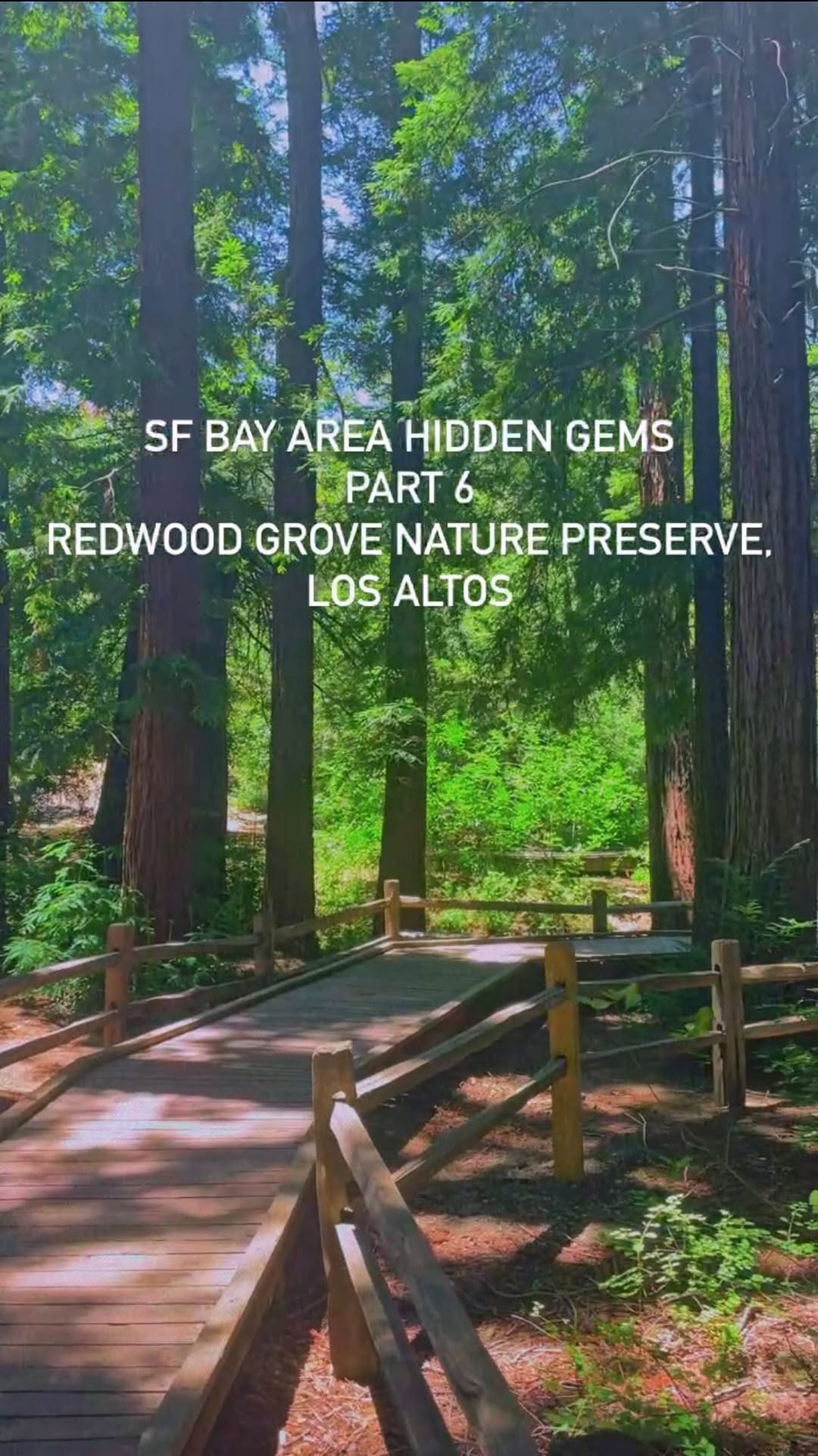 https://d2zmqyh8caa94h.cloudfront.net/creator_social_media_contents/instagram/reels/CuQfn0qrqgx/CuQfn0qrqgx.mp4