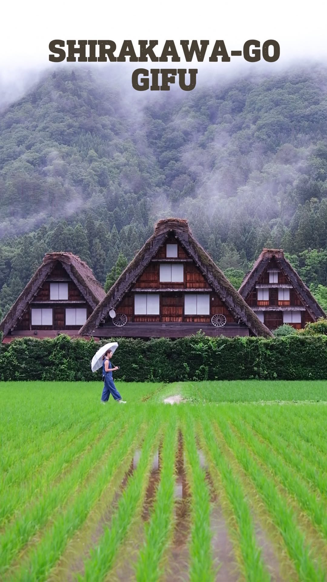Japanese Village With Gassho Houses